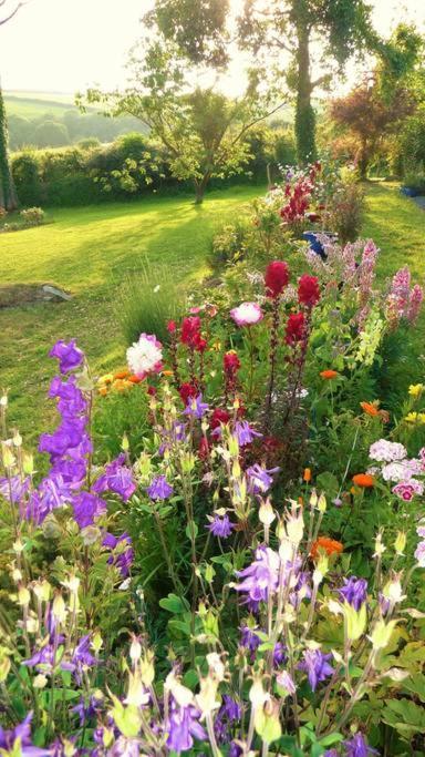 Bed and Breakfast Horsna Parc Retreat Saint Tudy Esterno foto