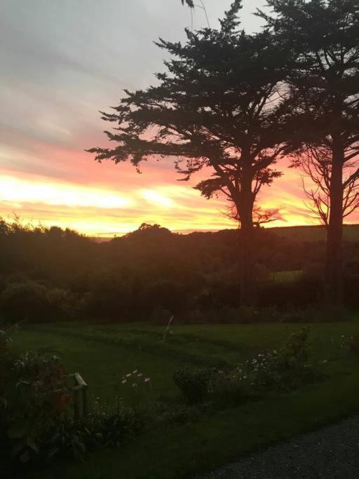 Bed and Breakfast Horsna Parc Retreat Saint Tudy Esterno foto