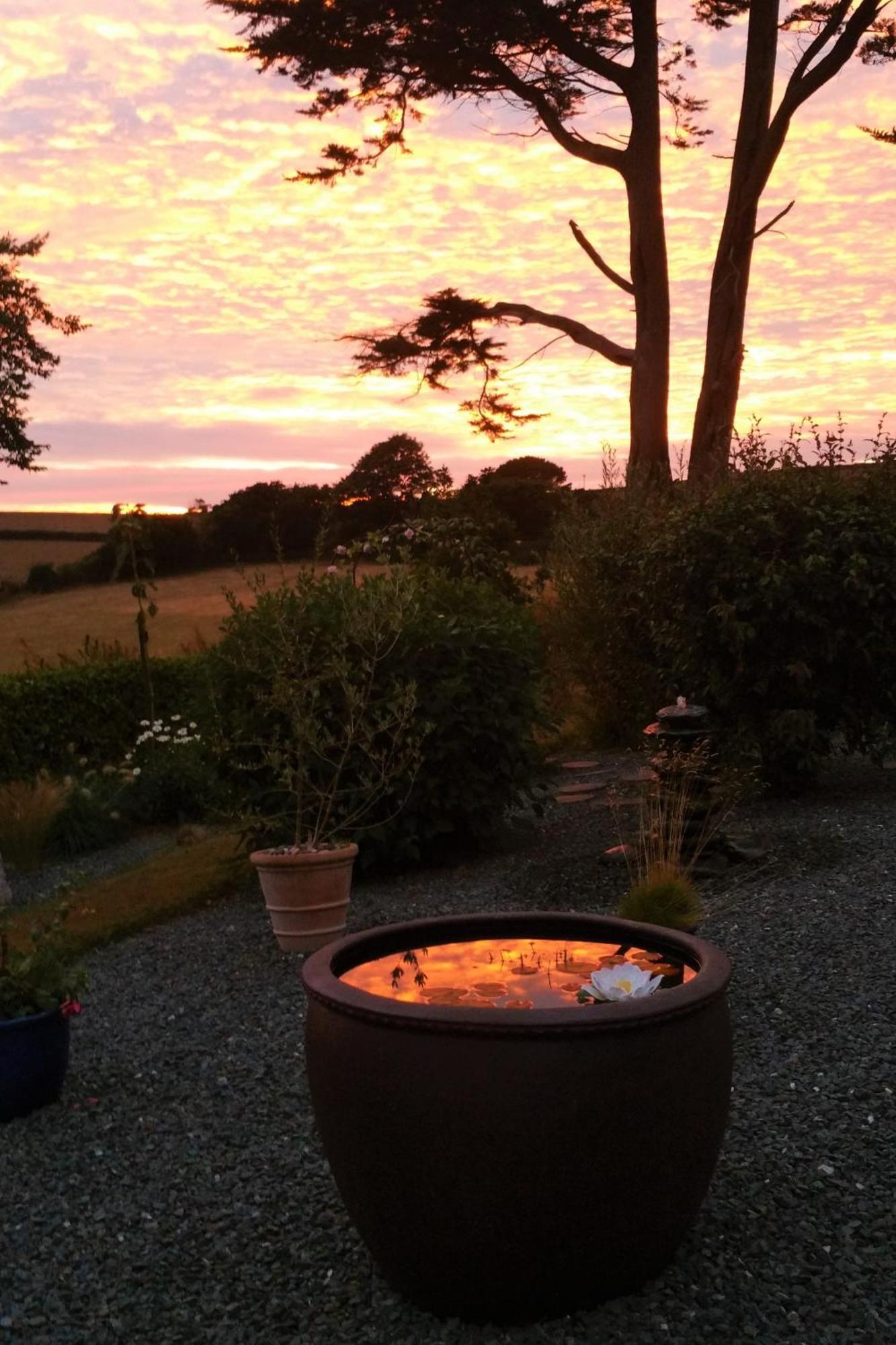 Bed and Breakfast Horsna Parc Retreat Saint Tudy Esterno foto